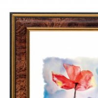 Фоторамка 20*25 Зебра 1,7мм 3925 орех (1/25)