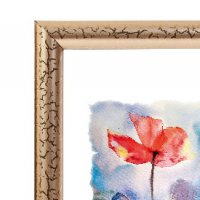 Рамка пластик 24x30 Зебра 1,7мм 3872 золото (25)