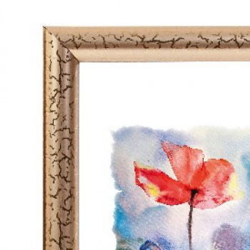 Рамка пластик 24x30 Зебра 1,7мм 3872 золото (25)