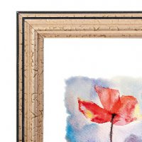 Рамка пластик 24x30 Зебра 1,7мм 3904 золото (25)