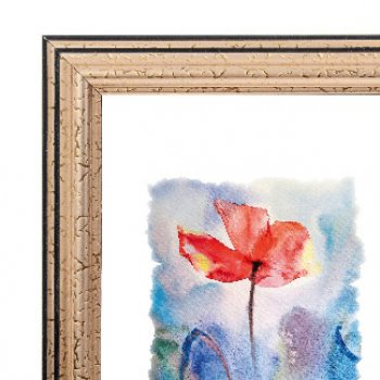 Рамка пластик 40x60 Зебра 1,7мм 3904 золото (1/10)**