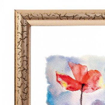 Фоторамка 50*60 Зебра 1,7мм 3872 золото (1/10)