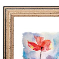 Рамка пластик 50x60 Зебра 1,7мм 3904 золото (1/10)