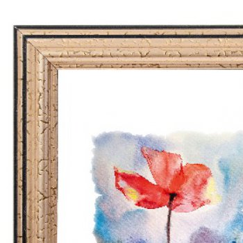 Рамка пластик 50x60 Зебра 1,7мм 3904 золото (1/10)