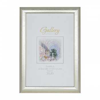 Рамка пластик 20x30 Мирам 647221-8 платина широкий багет (12)