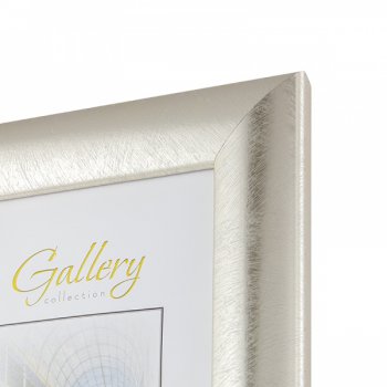 Фоторамка 21*29,7 Gallery 647221-А4 платина широкий багет (1/12)