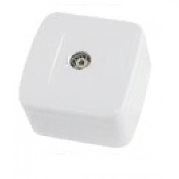 Розетка TDM Дача TV белая (10/100)