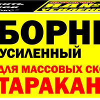 Гель от тараканов 30мл Сгинь! борный усиленный шприц (48)