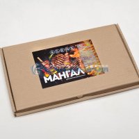 Мангал Стандарт 500х300х500х0,7мм коробка (5)