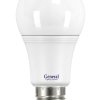 Лампа диодная A60 14Вт Е27 6500К 1090Лм General (10/100)