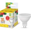 Лампа диодная MR16 GU5.3  3Вт 3000К 250Лм ASD (10)