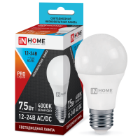 Лампа диодная A60 местного освещения 12-48В 10Вт Е27 6500К 900Лм InHome(10)