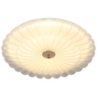 Светильник диодный Эра SPB-6 Chester 84Вт 3000-6500К 4550Лм d490*92мм (5)