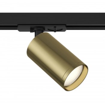 Светильник трековый GU10 Эра TR39 латунь (20)