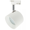 Светильник трековый GX53 Эра TR15 WH/SL белый+серебро