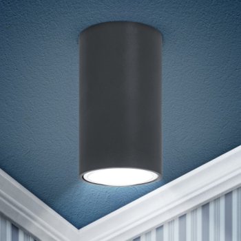 Светильник точ накладной MR16 графит Эра OL15 GU10  IP20