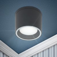 Светильник накладной Эра WL40 BK GX53 черный IP54 (20)