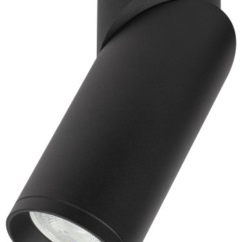 Светильник настенно-потолочный спот ЭРА OL18 BK MR16/GU10, черный