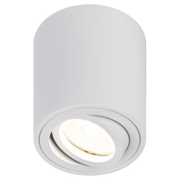 Светильник спот GU10 OL21 WH белый кардан Эра