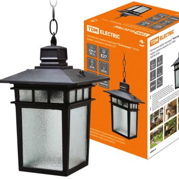 Светильник уличный подвесной Е27 TDM Тамплиеры 100Вт IP54 черный (12)