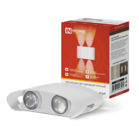 Светильник уличный настенный диодный  6Вт InHome ДБУ TWIN-6W 3000К IP54 белый (30)