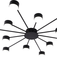 Люстра 10хGX53 Rivoli Leona черный 15W модерн