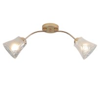 Светильник потолочный 2хЕ27 ЭкономСвет 12276/2FGD CL золото/прозрачный