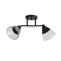Светильник потолочный 2хЕ27 ЭкономСвет 12205/2BK CL+BK черный/прозрачный