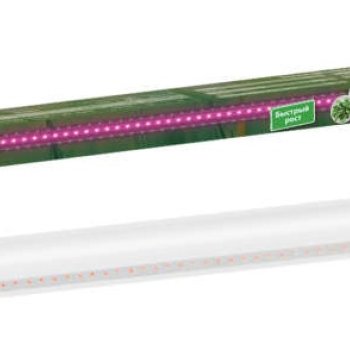 Лампа фито G13 T8  9Вт 600мм TDM (25)