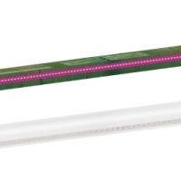 Фитолампа G13 T8 18Вт 1200мм TDM (25)