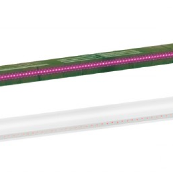 Фитолампа G13 T8 18Вт 1200мм TDM (25)