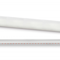 Лампа фито G13 T8 20Вт 1200мм Inhome (25)