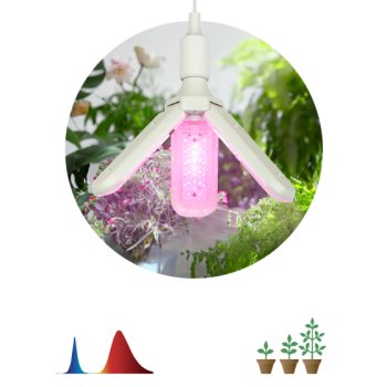 Фитолампа Е27 24Вт 3-х лепестковая для рассады Эра красно-синий спектр (25)