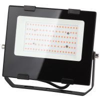 Прожектор фито 50Вт IP65 Эра Fito красно-синий (20)