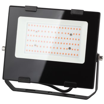 Прожектор фито 50Вт IP65 Эра Fito красно-синий (20)