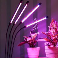 Фитосветильник на прищепке 40Вт T2 125x260x380мм IP40 сине-красный спектр пульт на шнуре черный InHome (16)
