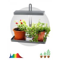 Светильник фито настольный для грунта 20Вт 3500К для фотосинтеза Эра серый (10)