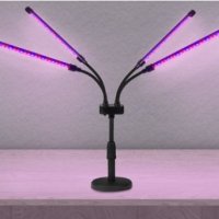 Фитосветильник настольный 4х10Вт T2 125x260x380мм IP40 сине-красный спектр пульт на шнуре черный InHome (16)