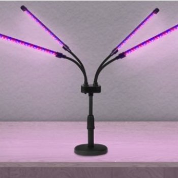 Фитосветильник настольный 4х10Вт T2 125x260x380мм IP40 сине-красный спектр пульт на шнуре черный InHome (16)