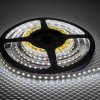 Лента диодная 12В IP65  4.8Вт/м 6500К 3528 60LED/м 5м General