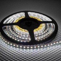 Лента диодная 12В IP65  4.8Вт/м 6500К 3528 60LED/м 5м General