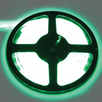 Лента диодная 12В IP65  4.8Вт/м зеленый 60LED/м  5м Ecola Pro 8мм (25)