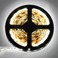 Лента диодная 12В IP20 14.4Вт/м 6000К 60LED/м  5м Ecola Pro 1080Лм/м 10мм (20)