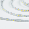 Лента диодная 12В IP66 14.4Вт/м 6500К 5050 60LED/м 5м SWG