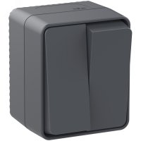 Выключатель Atlas Profi54 2кл IP54 антрацит