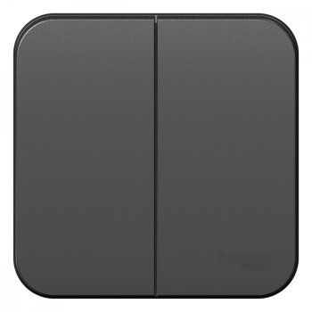 Выключатель Blanca 2-ОП 10А антрацит (15/90)