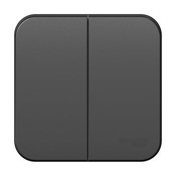 Выключатель Blanca 2-ОП изолирующая пластина антрацит (15)