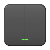 Выключатель Blanca 2-ОП подсветка изолирующая пластина антрацит (15)