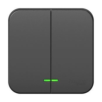 Выключатель Blanca 2-ОП подсветка изолирующая пластина антрацит (15)