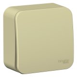 Blanca бежевый